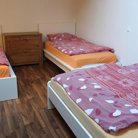 Apartment Potepuh Бовец Экстерьер фото